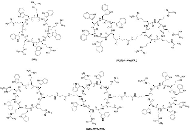 Chemical structures of monocyclic, bicyclic and tricyclic cell-penetrating cyclic peptides containing arginine and tryptophan residues