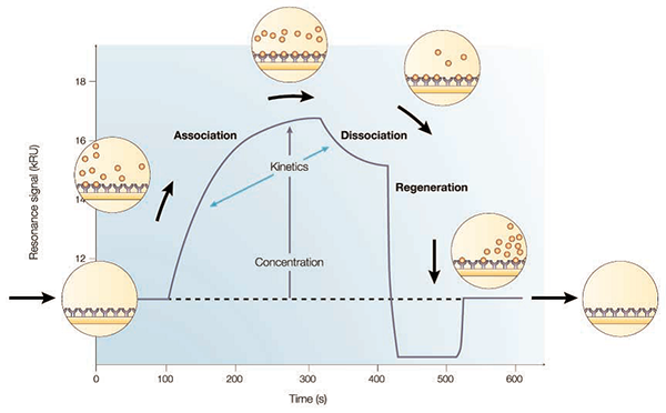 The-advantages-of-SPR-compare-to-ITC-or-ELISA