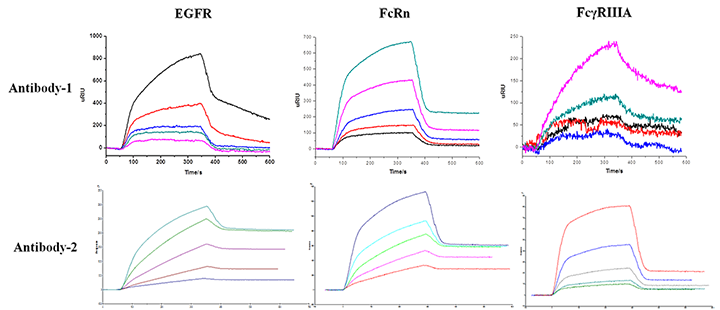 The example of SPRi in Protein-Protein interactions