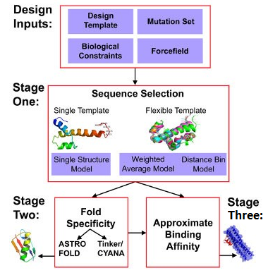 Three-Stage De Novo Peptide Design Workflow Diagram