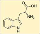 Tryptophan