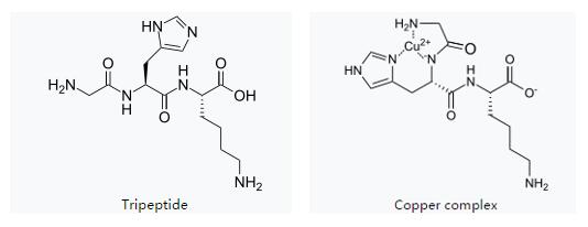 What is GHK and Copper Peptide?