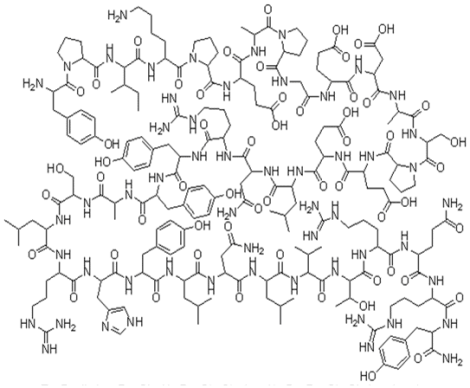 What is peptide YY?