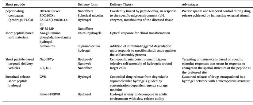 Fig.3 Application of synthetic short peptides in drug delivery.