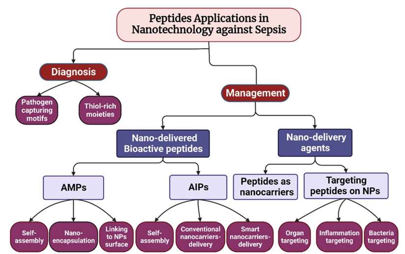 Fig.5 Utilization of peptides in nanotechnology for the diagnosis and therapy of sepsis.