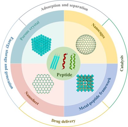 Fig.7 Peptide-based porous materials.