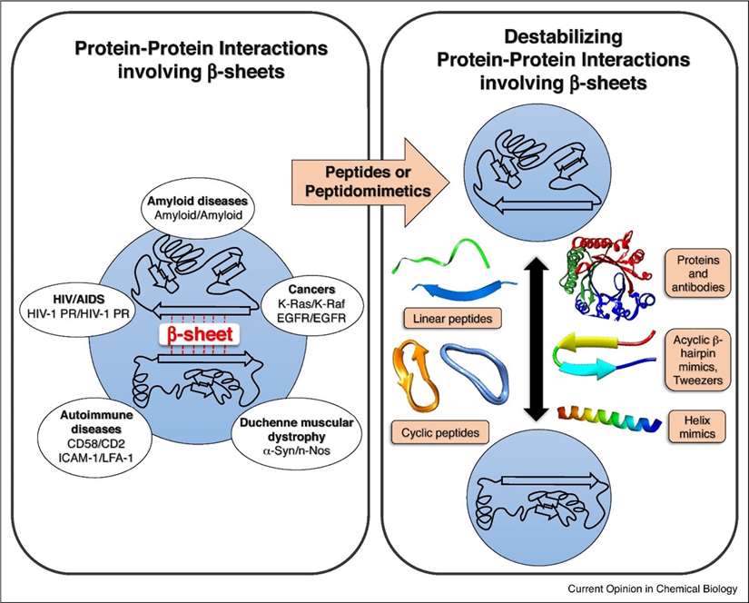 Fig.9 Peptide and peptidomimetic strategies developed to inhibit PPIs. 