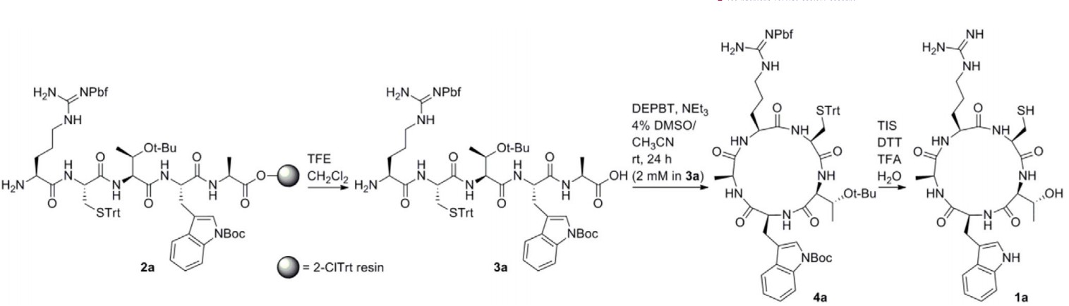 Fig. 2 Resin used in synthesis of head-to-tail cyclic peptide 1a.