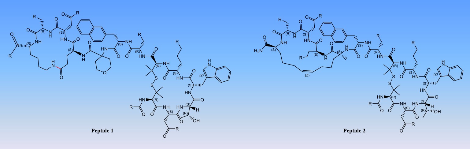 Fig. 3 Synthesis of peptide molecules with head to tail rings.