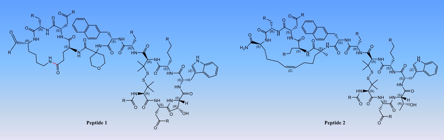 Fig. 3 Synthesis of peptide molecules with head to tail rings.