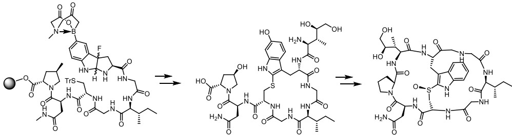 Fig. 2 Synthesis of death-cap mushroom toxin α-amanitin.
