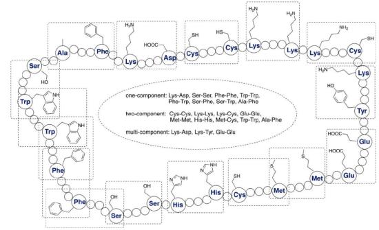 Structure of peptide-drug conjugate