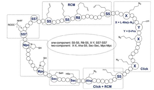 Construction of cyclic peptides based on non-natural amino acids