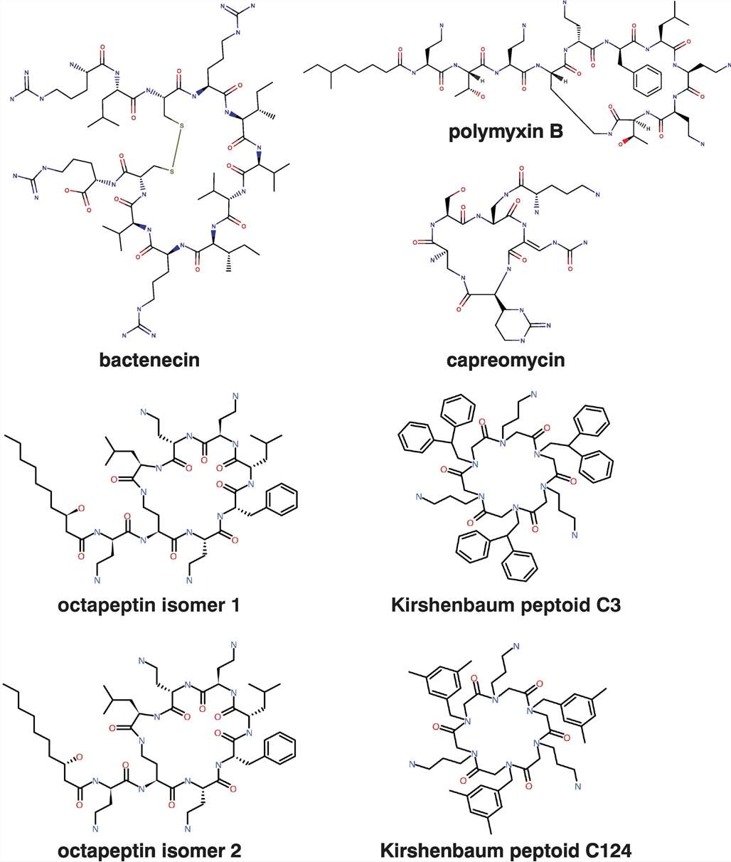 Fig.1 Chemical structures of the common cyclic peptide antibiotics.