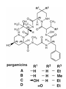 Fig.2 Structure of pargamicin (PRG) A, B, C and D.