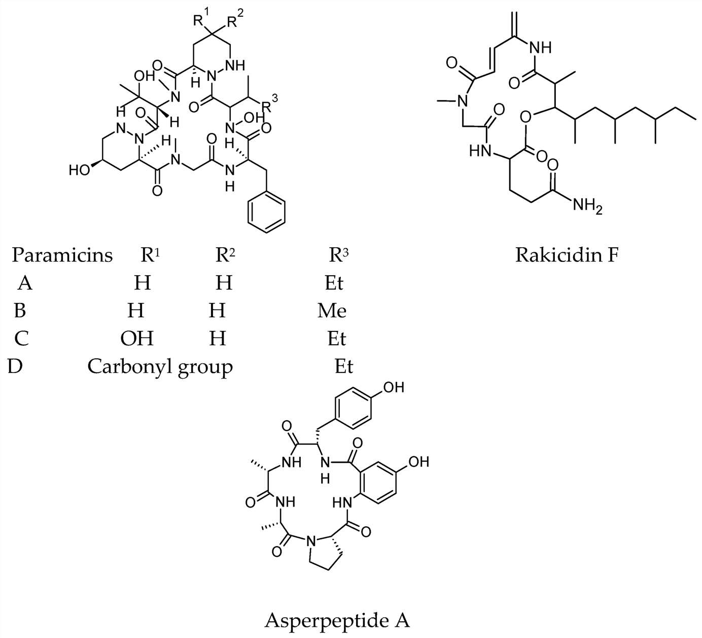 Fig.5 Antibacterial cyclic peptides including Rakicidin F and Asperpeptide A.
