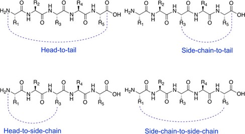 Fig.7 Typical peptide cyclization. 