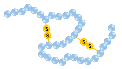 Cyclic Peptides