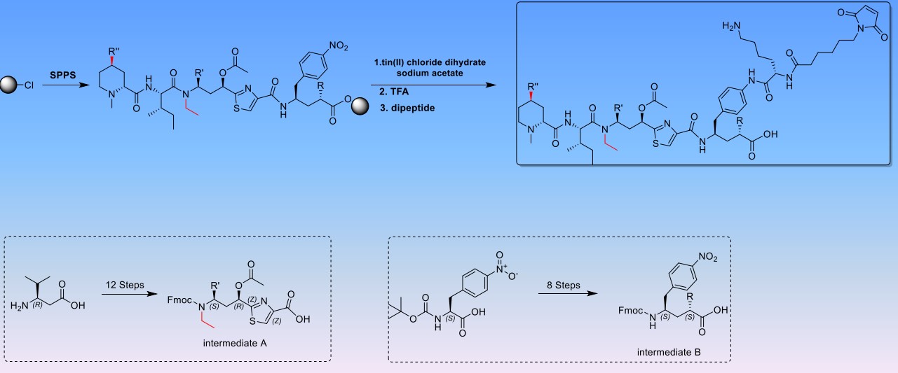 Fig. 3 Typical synthesis case