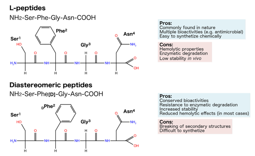 Representation of the planar structure and chirality of hypothetic L-, diastereomeric, all-D- and RI-peptides, also highlighting their pros and cons.