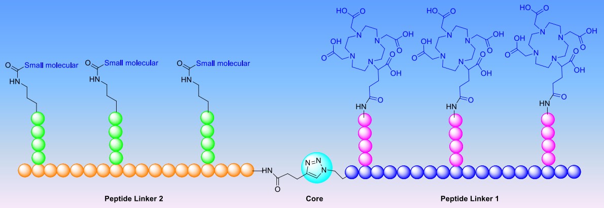 Fig. 2 Schematic diagram of DOTAGA chelating peptide.