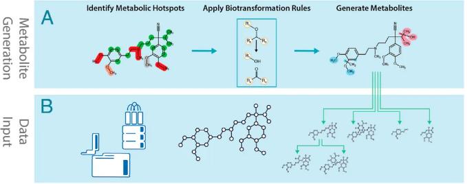 Metabolite generation and identification process
