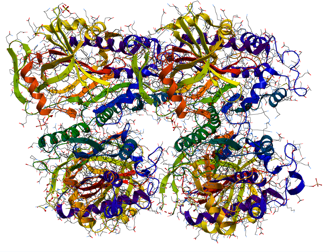 OVA peptides diagram.