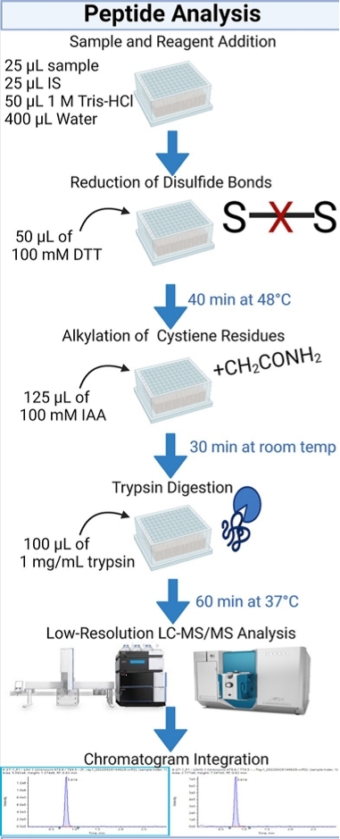 The workflow of peptide analysis.