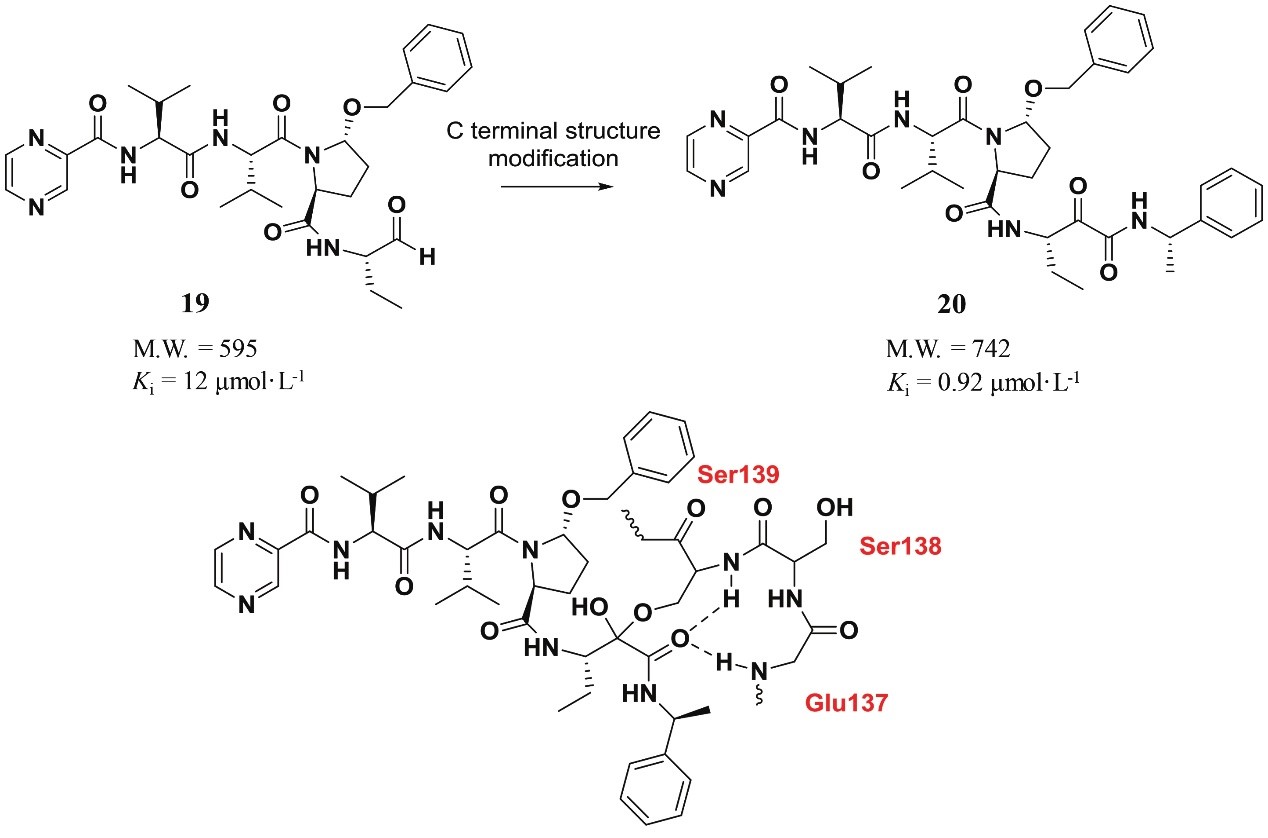 C-terminal structure modification to improve activity against serine protease.