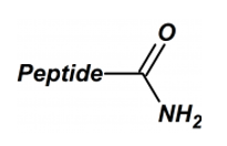 Peptide C-Terminal Modification