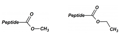 Peptide C-Terminal Modification