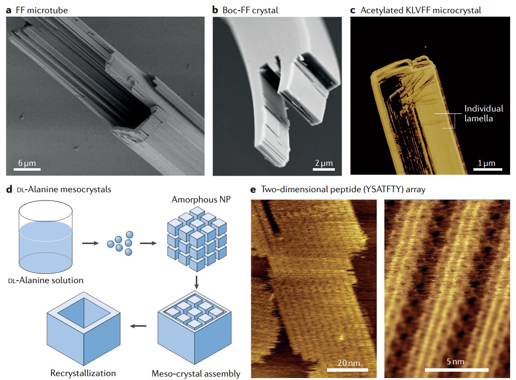 Hierarchically oriented crystallization of linear short peptides.