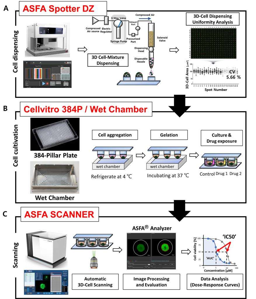the 3D-Cell culture based high-throughput screening (HTS) platform for drug efficacy analysis