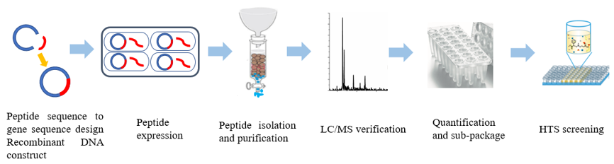 Peptide Drug Screening Service