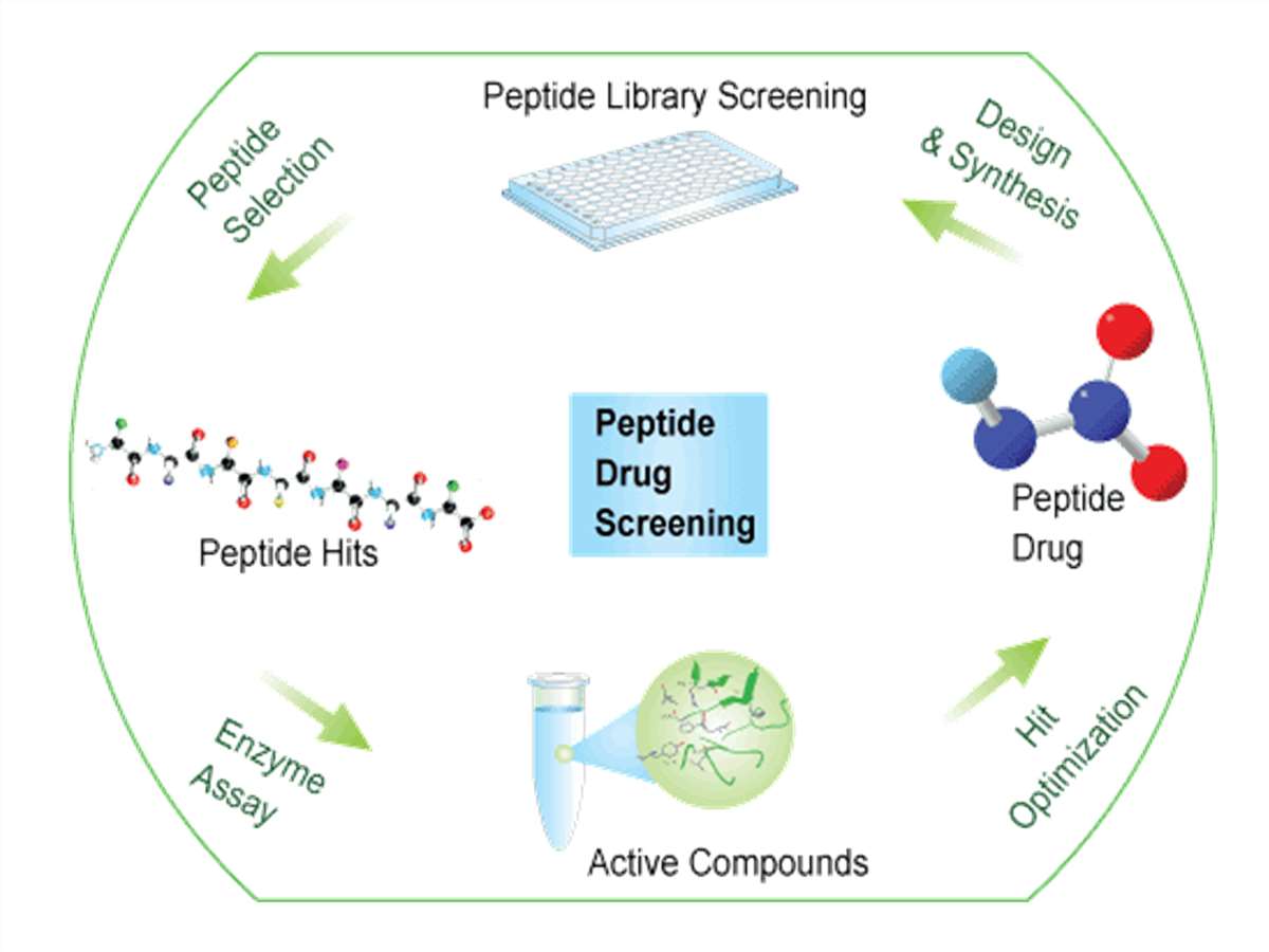 The process of screening target peptide drug molecules in peptide libraries