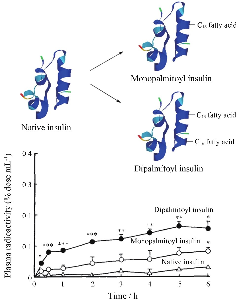 Introduction of fatty acid to improve the permeability of insulin. Figure derived from Hashizume M, et al.