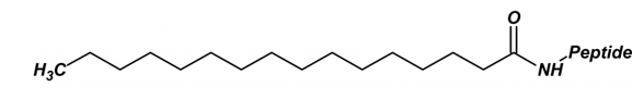 Peptide N-Terminal Modification