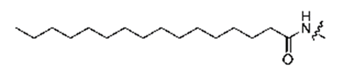 Peptide N-Terminal Modification