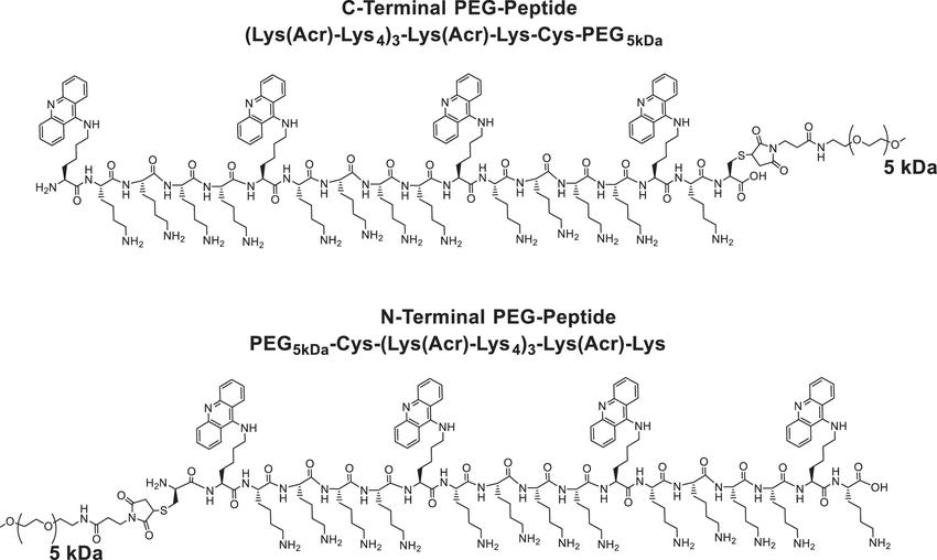 Biotinylated peptides