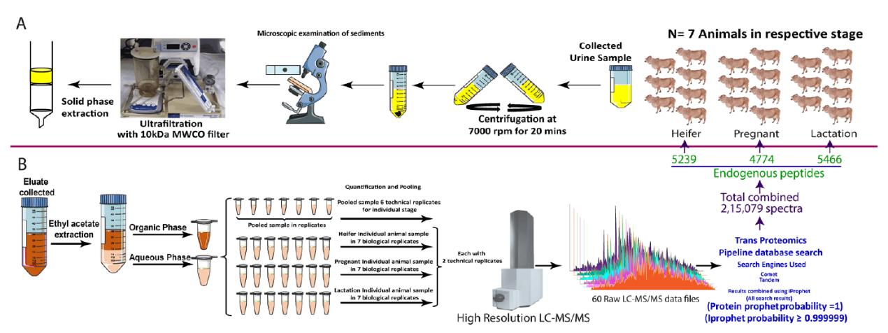 The application of peptide profiling in research.