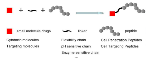 Peptide-small-molecule Conjugation