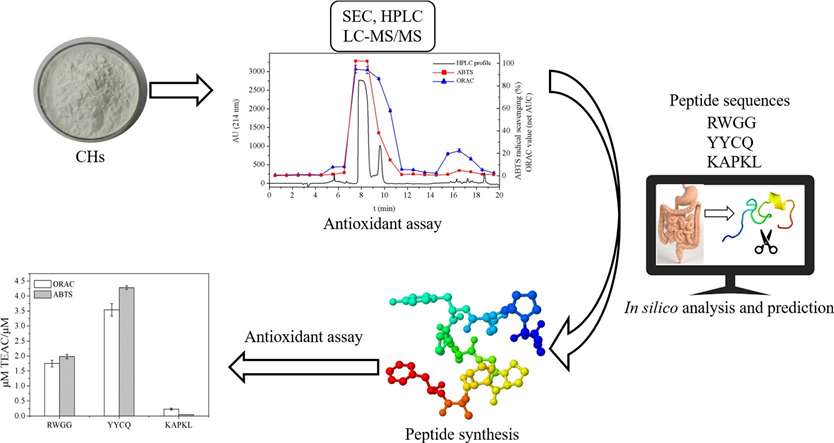 Analysis of antioxidant peptides