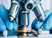 Comprehensive Peptide Analysis and Testing Services