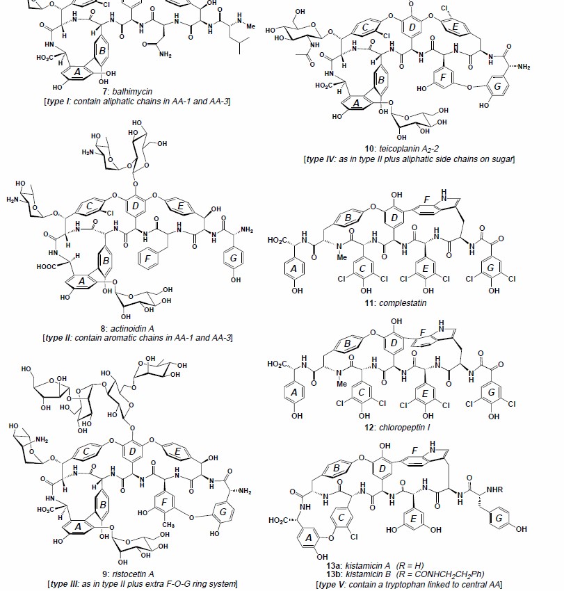 Structural types of glycopeptide antibiotics