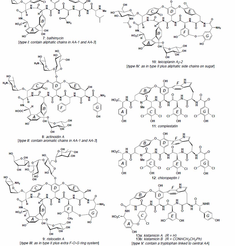 Structural types of glycopeptide antibiotics