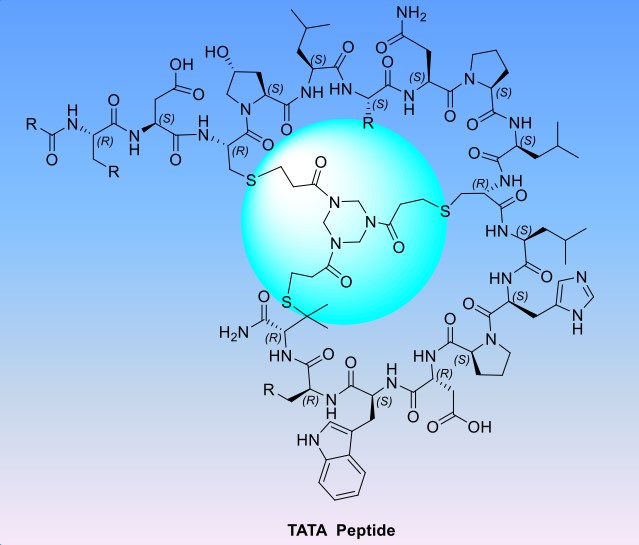 Fig. 2 Schematic diagram of TATA peptide.