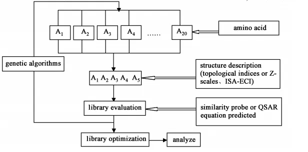 Construction process of virtual combined pentapeptide library