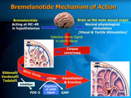 How Does Bremelanotide Work?