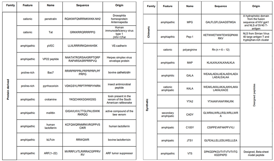 Protein-derived, chimeric, and synthetic cell-penetrating peptides (CPPs).