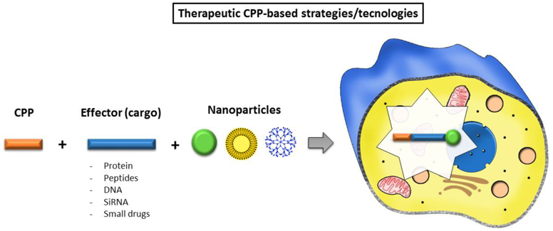 Recent advancements in techniques based on CPPs.